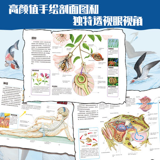 【全10册】万物运转的秘密 百科全书 儿童认知亲子共读启蒙读物博物大百科全书十万个为什么3-4-5-6-7-8-9-10岁畅销书 科普绘本 商品图2
