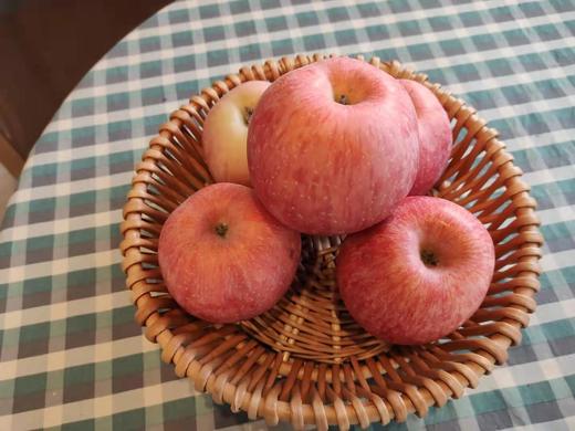 静宁苹果 5.6元/斤 （三斤起售） 商品图0