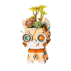 若态姜一桃/FT742