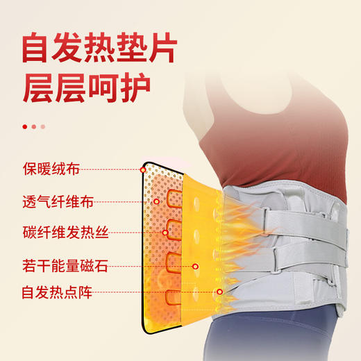 百年扁氏护腰带 商品图1