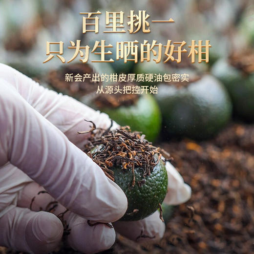 传奇会茶叶 小青柑普洱茶礼盒500g 正宗新会生晒云南宫廷普洱茶熟茶 小青桔陈皮柑普茶 商品图5