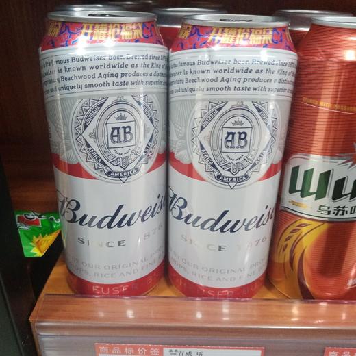 百威啤酒500ml一罐