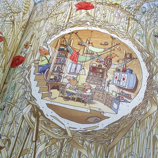 【精装2册鹦鹉螺系列】这是谁的家？+藏在森林里的生命 幼儿认知动物百科全书 儿童绘本国外经典3-4-6岁故事书 动物王国居所大探秘 商品图2