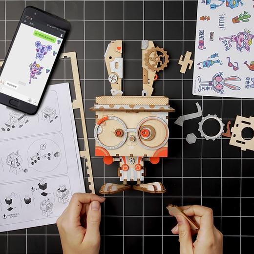 若态苏申儿/FT741 商品图2