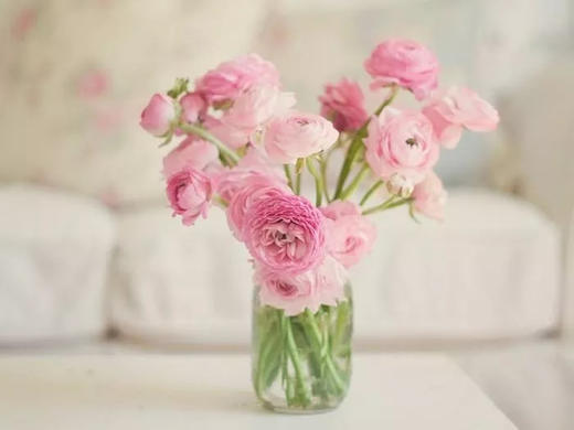 【特殊使用的链接】鲜花，5元/束 商品图0