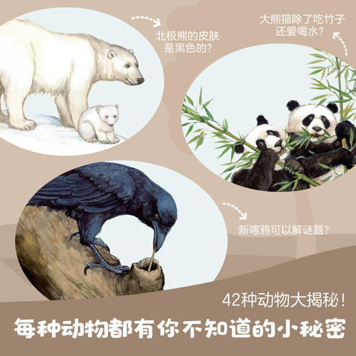 【精装全2册】鹦鹉螺21种动物们鸟儿们 幼儿认知动物百科全书 儿童3-4-6岁故事书自然通识类我的野生动物朋友科普绘本童书籍阅读 商品图1