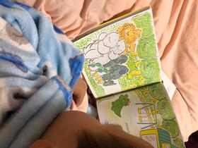 《我的邻居鳄鱼巴鲁波》：刚入学的小宝贝很推荐这本书