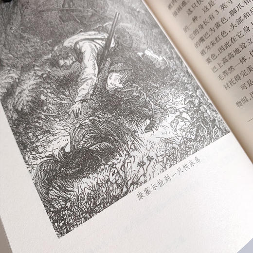 【插图版•全译本】海底两万里 凡尔纳科幻世界名著经典儿童文学 正版书 小学生课外阅读书籍 一二三四五六年级课外书必读书目 商品图2