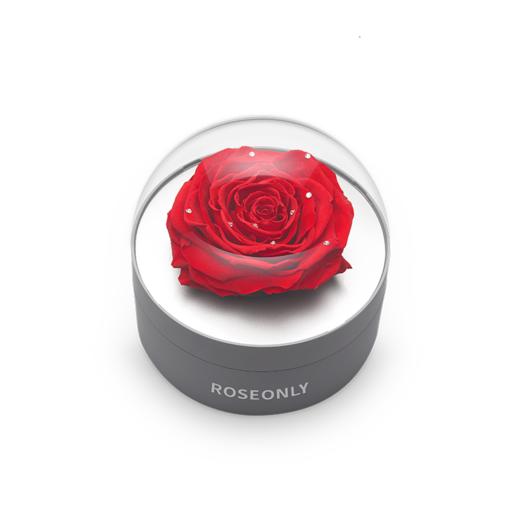 ROSEONLY 经典首饰盒 商品图2