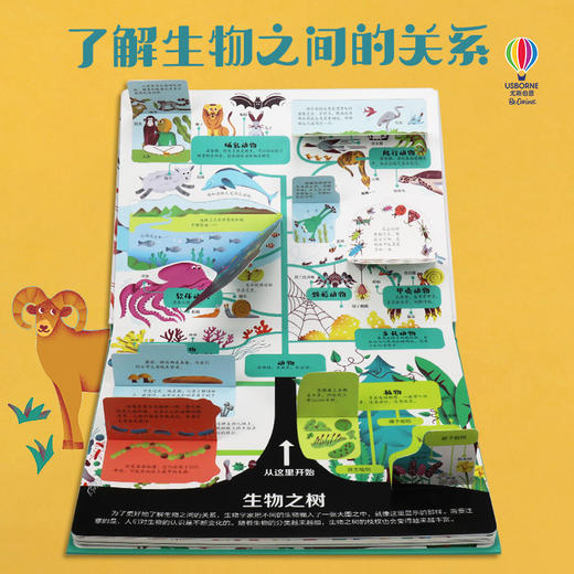 尤斯伯恩看里面 揭秘生物 商品图2