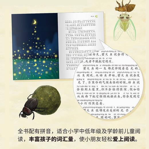 【注音版】法布尔昆虫记 世界经典动物故事美绘正版书世界名著阅读 7-8-10岁 小学生课外阅读书籍 一二三四年级课外书必读经典书目 商品图2