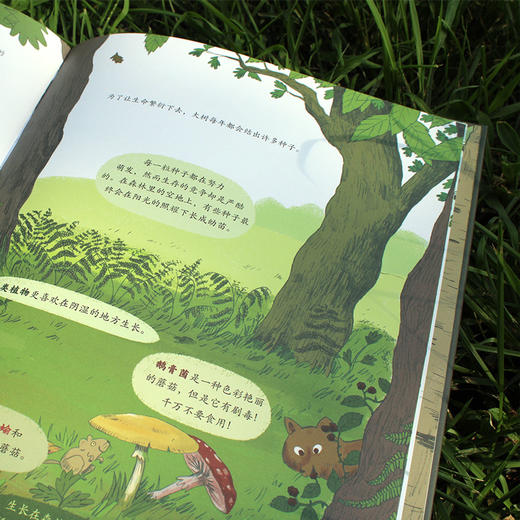 【精装2册鹦鹉螺系列】这是谁的家？+藏在森林里的生命 幼儿认知动物百科全书 儿童绘本国外经典3-4-6岁故事书 动物王国居所大探秘 商品图3