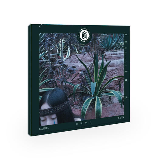 玫瑰博士 - 《净》CD 商品图0