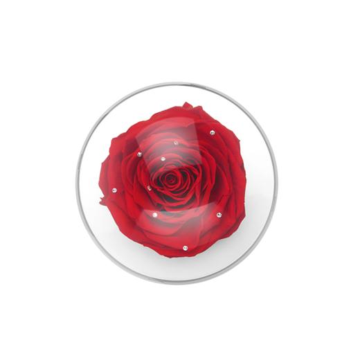 ROSEONLY 经典首饰盒 商品图3