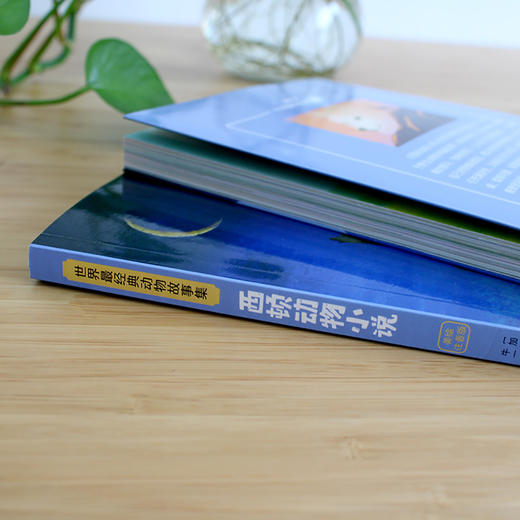 【注音版】西顿动物小说 世界经典动物故事 正版书世界名著阅读 7-8-10岁 中小学生课外必读书籍 一二三四年级课外书必读经典书目 商品图3