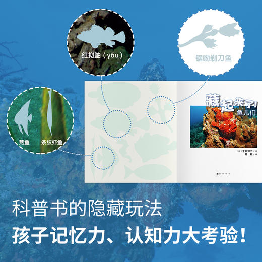 【番外篇2册】生命的故事系列 藏起来了儿童少儿动物昆虫百科全书动物世界生命简史历程2-3-6岁幼儿园图书写真集国外获奖经典绘本 商品图4