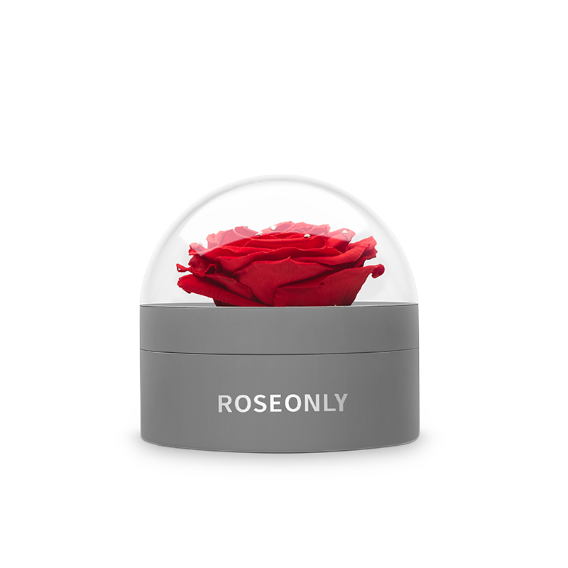 ROSEONLY 经典首饰盒