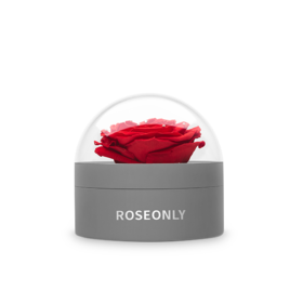 ROSEONLY 经典首饰盒