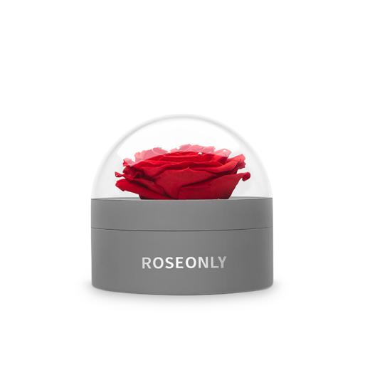 ROSEONLY 经典首饰盒 商品图0