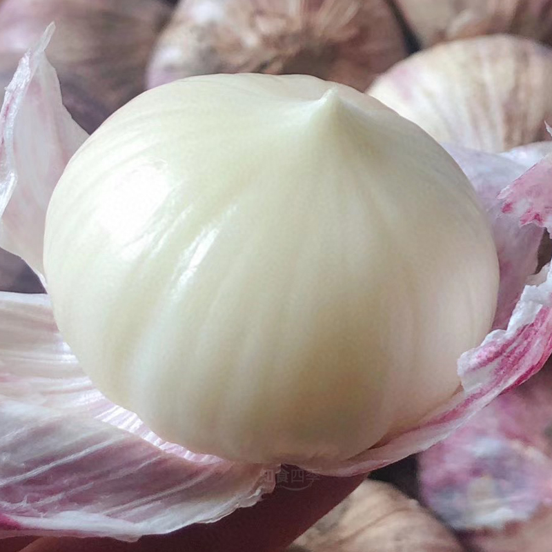 甄选出口级蒜王·大理紫皮独头蒜  蒜香浓郁 辛辣十足