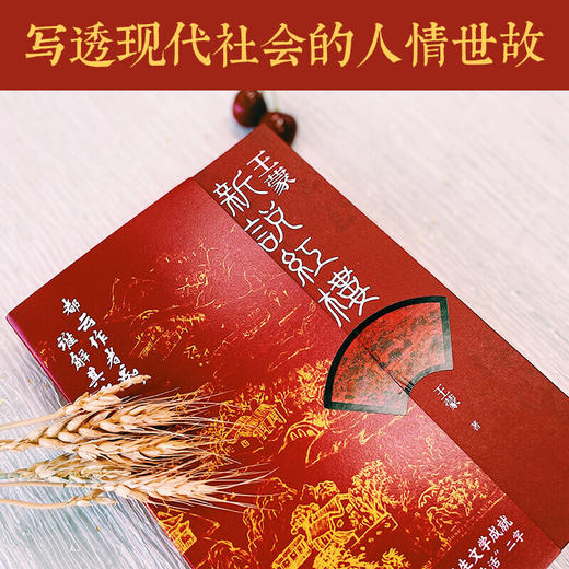 王蒙新说红楼 商品图3