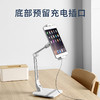 解放你的双手的神器：ledetech懒人长臂支架（PAD支架 4.7-12.9寸） 商品缩略图2