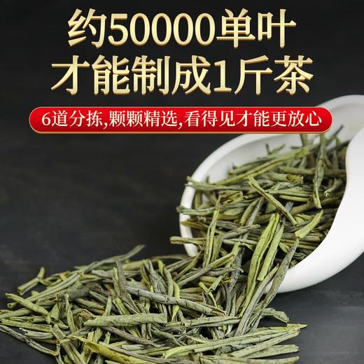 传奇会绿茶 六安瓜片特级雨前茶170g 商品图3