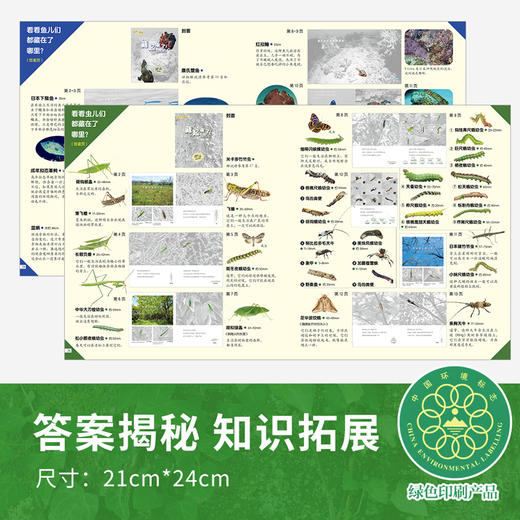 【番外篇2册】生命的故事系列 藏起来了儿童少儿动物昆虫百科全书动物世界生命简史历程2-3-6岁幼儿园图书写真集国外获奖经典绘本 商品图3