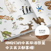 【精装全2册】鹦鹉螺21种动物们鸟儿们 幼儿认知动物百科全书 儿童3-4-6岁故事书自然通识类我的野生动物朋友科普绘本童书籍阅读 商品缩略图3