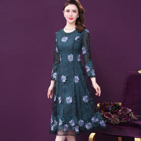 WXY-W-SQ-20218新款春年轻款圆领网纱刺绣法式裙子