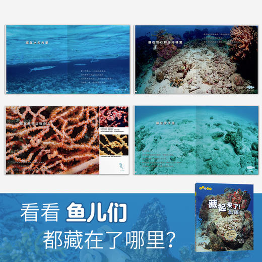 【番外篇2册】生命的故事系列 藏起来了儿童少儿动物昆虫百科全书动物世界生命简史历程2-3-6岁幼儿园图书写真集国外获奖经典绘本 商品图1