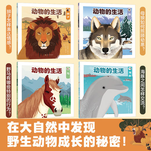 【全4册】动物的生活 狼、狮子、海豚、马  3-6岁儿童自然通识类野生动物朋友科普绘本童书籍阅读 商品图3