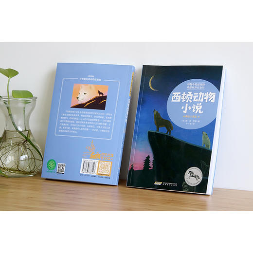 【注音版】西顿动物小说 世界经典动物故事 正版书世界名著阅读 7-8-10岁 中小学生课外必读书籍 一二三四年级课外书必读经典书目 商品图4