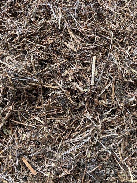 猪殃殃 八仙草 商品图1