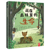 【精装硬壳】藏在森林里的生命 动物百科全书 儿童绘本国外经典2-3-4-6岁故事书早教 幼儿认知小百科 野生动物世界大探秘亲亲自然 商品缩略图0