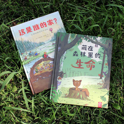 【精装2册鹦鹉螺系列】这是谁的家？+藏在森林里的生命 幼儿认知动物百科全书 儿童绘本国外经典3-4-6岁故事书 动物王国居所大探秘 商品图1
