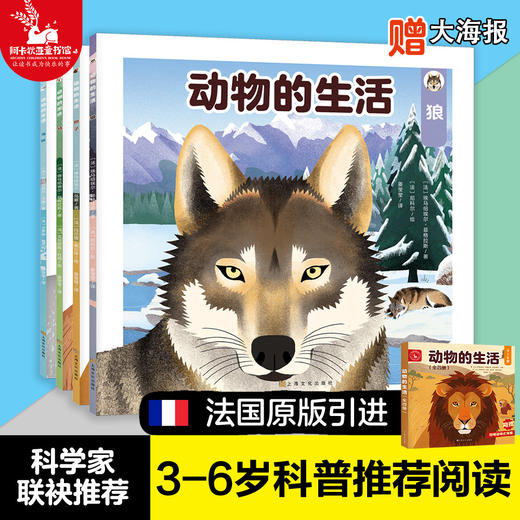 【全4册】动物的生活 狼、狮子、海豚、马  3-6岁儿童自然通识类野生动物朋友科普绘本童书籍阅读 商品图0
