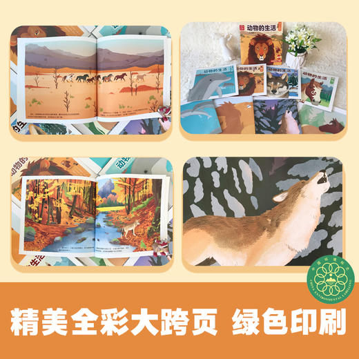 【全4册】动物的生活 狼、狮子、海豚、马  3-6岁儿童自然通识类野生动物朋友科普绘本童书籍阅读 商品图2