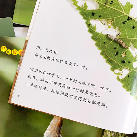 【10册】生命的故事第2辑 蚕 蟋蟀蜗牛少儿动物昆虫百科全书 动物世界生命简史历程 2-3-6岁 幼儿园宝宝儿童图书写真集 国外获奖 商品图4