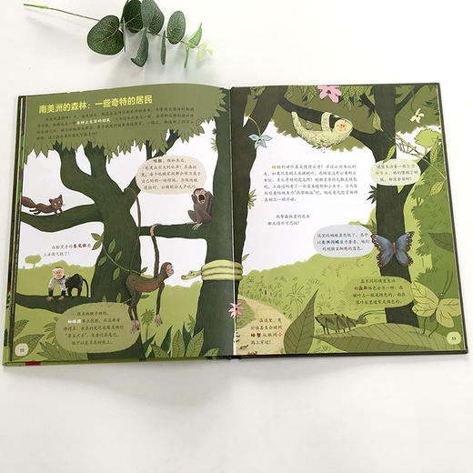 【精装硬壳】藏在森林里的生命 动物百科全书 儿童绘本国外经典2-3-4-6岁故事书早教 幼儿认知小百科 野生动物世界大探秘亲亲自然 商品图4