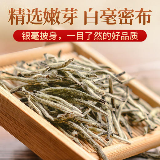传奇会茶叶 福鼎白茶 白毫银针 陈年品质老白茶礼盒装300g 商品图1