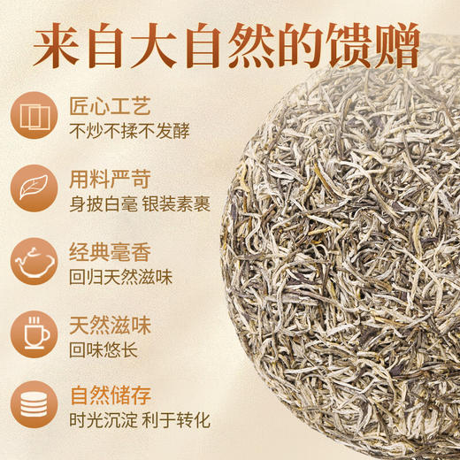 传奇会茶叶 福鼎白茶 白毫银针 陈年品质老白茶礼盒装300g 商品图4