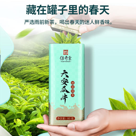 传奇会  正宗六安瓜片茶叶绿茶  雨前一级春茶 罐装礼盒装共170g 商品图1