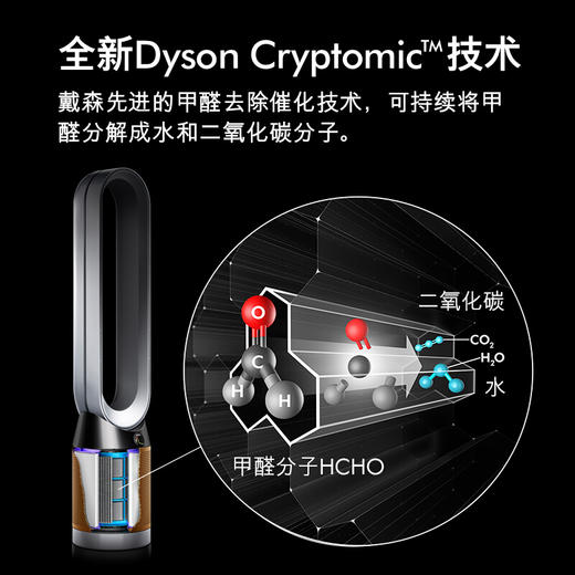 戴森Dyson 净化风扇 TP06 除菌除甲醛空气净化风扇 整屋循环净化 兼具空气净化器功能 商品图2