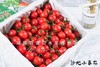 🛵爆浆【樱桃千禧果】mini清甜圣女果 商品缩略图4