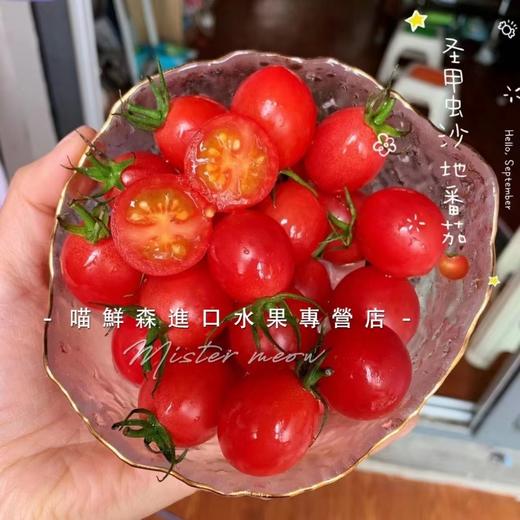 🛵爆浆【樱桃千禧果】mini清甜圣女果 商品图2