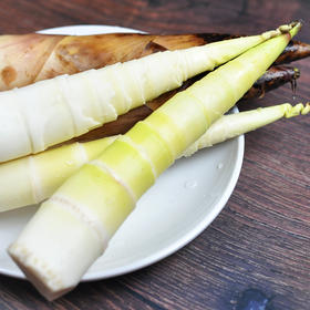 产地直发 临安天目山雷笋5斤装16-20根