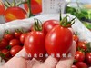 🛵爆浆【樱桃千禧果】mini清甜圣女果 商品缩略图3