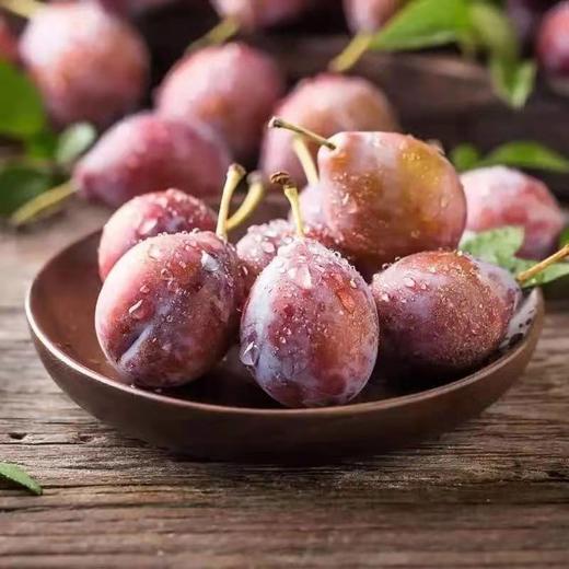 进口智利西梅   一盒5斤礼盒装   纯甜多汁纯甜爽口 商品图2