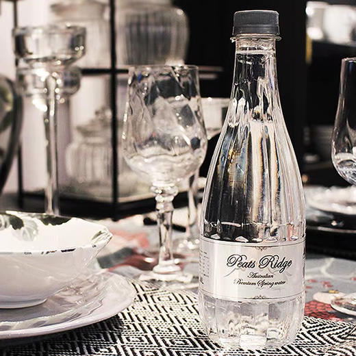 澳洲彼德瑞吉天然泉水-弱碱性低钠水500ml-会员6折 商品图2